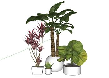 植物花盆摆件SU模型 免费sketchup模型下载