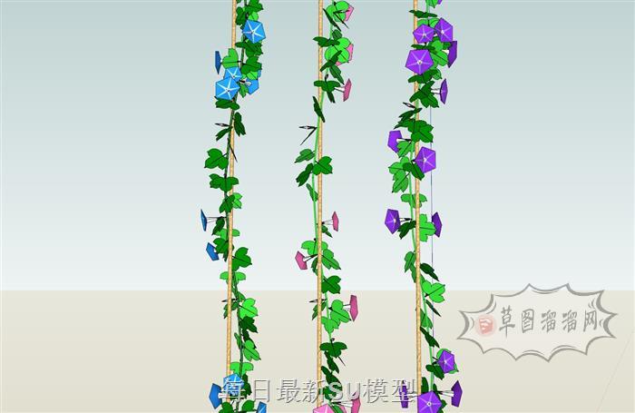 喇叭花牵牛花爬藤SU模型