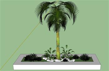 花圃植物树SU模型