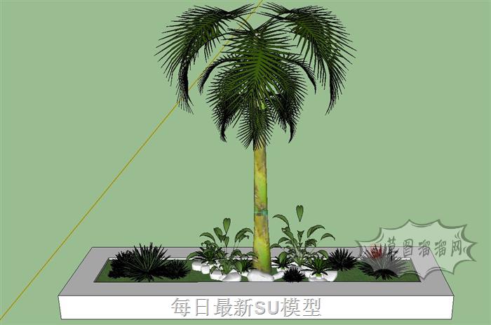 花圃植物树SU模型