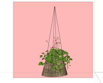 吊兰吊篮植物SU模型