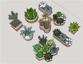 多肉植物花盆SU模型