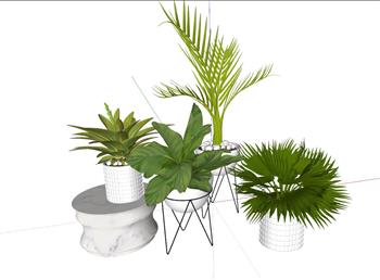 花盆植物盆栽SU模型