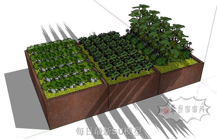 菜地菜园蔬菜SU模型