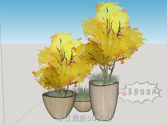 花盆植物景观SU模型