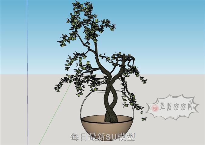 盆栽花盆植物SU模型