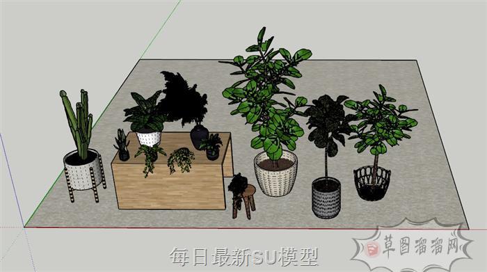 植物花盆盆栽SU模型