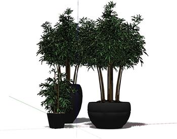 盆栽花盆植物SU模型
