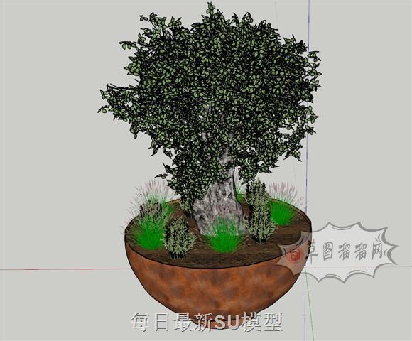 盆栽花盆植物SU模型