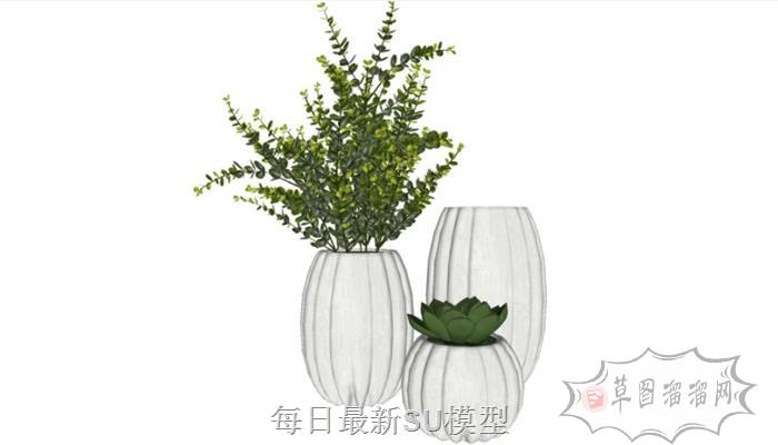 花瓶装饰植物SU模型