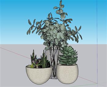 花盆多肉植物SU模型