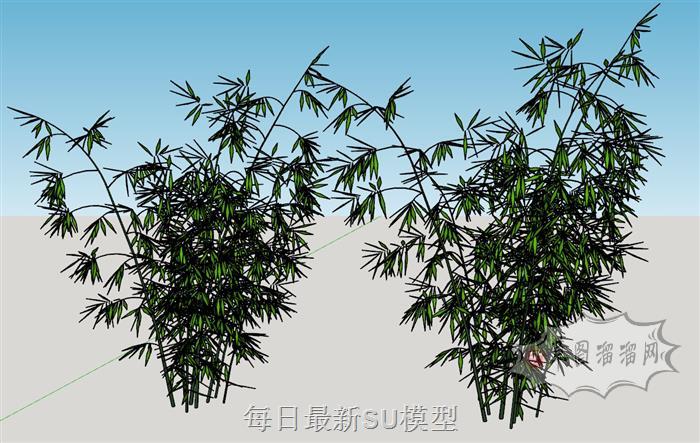 竹子竹林SU模型