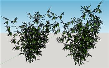 竹子竹林SU模型