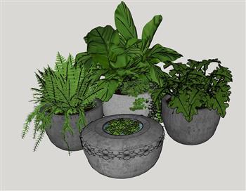 花盆盆栽植物SU模型