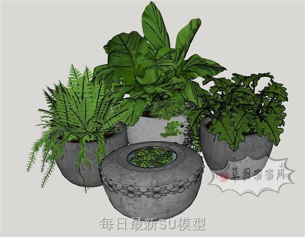 花盆盆栽植物SU模型
