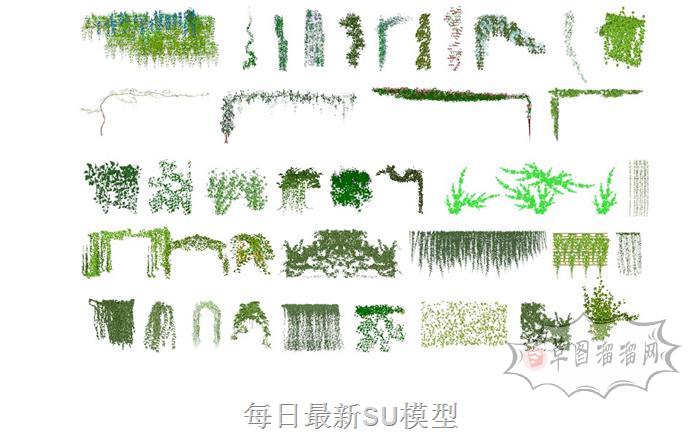 植物蔓藤爬藤SU模型