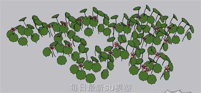 荷花池莲花荷叶SU模型