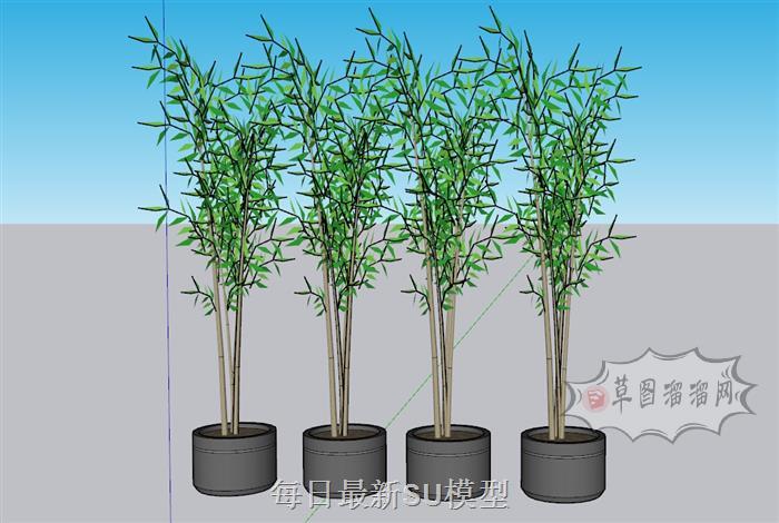 竹子植物盆栽SU模型