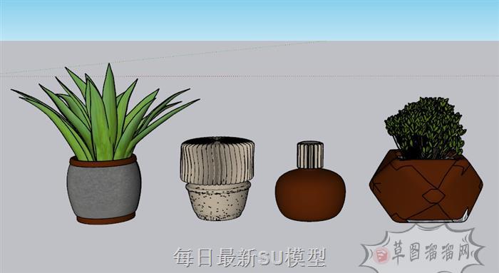 花盆植物SU模型