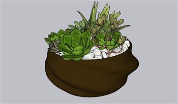 多肉植物花盆SU模型