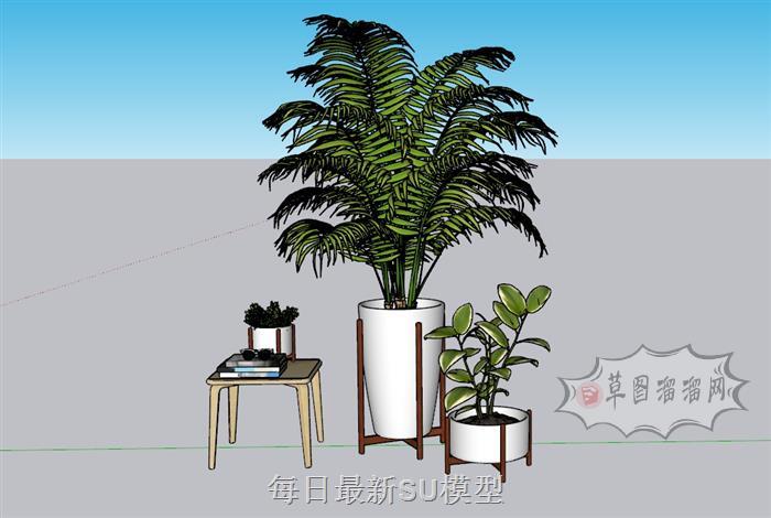 植物花盆盆栽SU模型