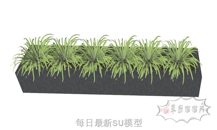 花坛花圃小草SU模型