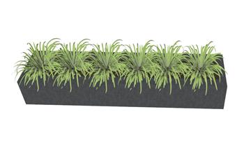 花坛花圃小草SU模型