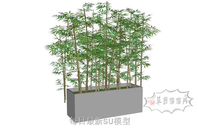 竹子装饰竹林SU模型