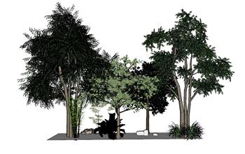 植物SU模型