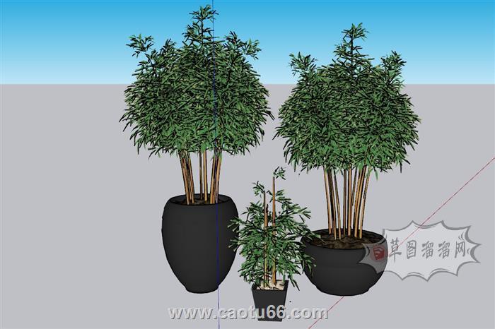 花盆植物盆栽SU模型