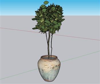 室内花盆花盆SU模型