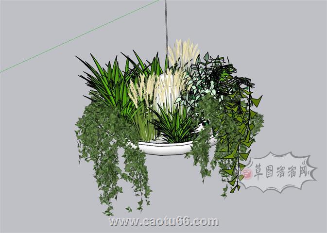 吊篮植物SU模型