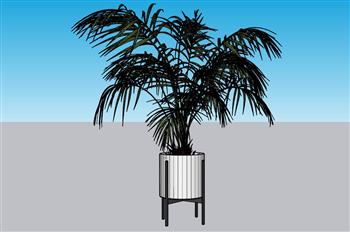 花盆植物盆栽SU模型