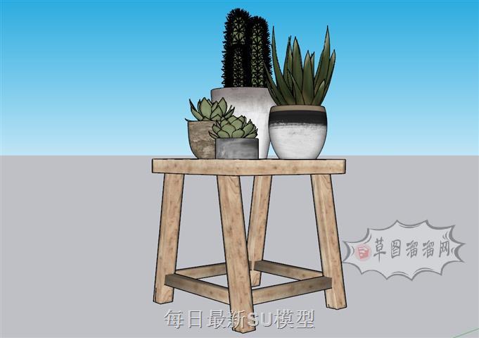 多肉植物摆件SU模型
