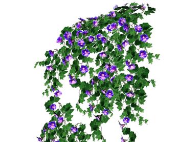 喇叭花牵牛花植物SU模型