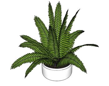花盆植物盆栽SU模型