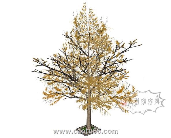 银杏树树SU模型