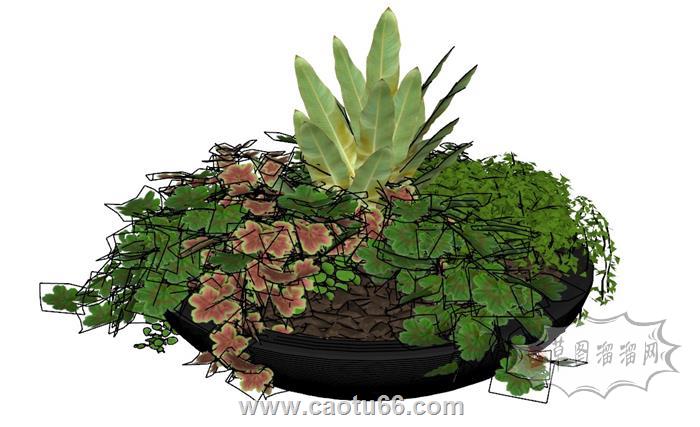 花盆植物SU模型