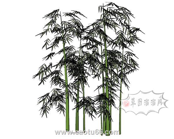竹子竹林SU模型