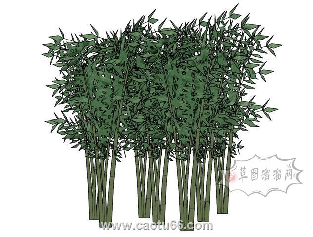 竹子竹林SU模型