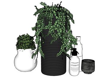 花盆植物盆景SU模型 免费sketchup模型下载