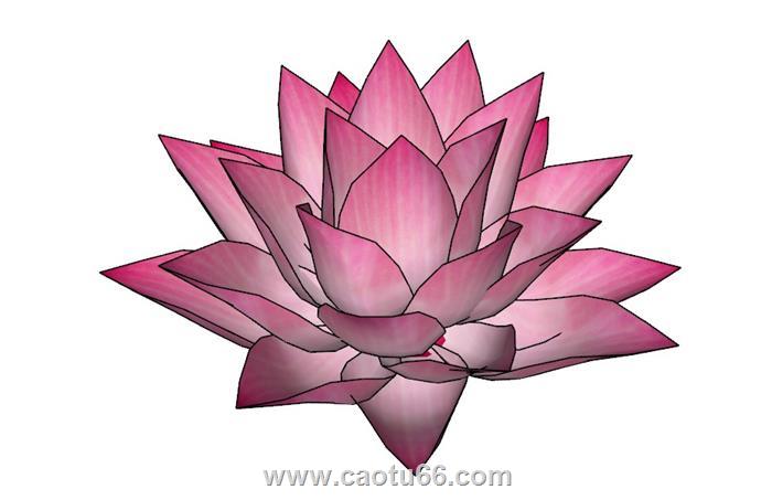 荷花莲花SU模型