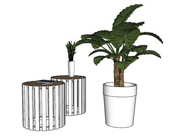 花盆植物SU模型
