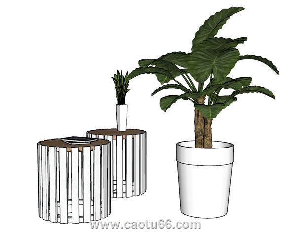 花盆植物SU模型