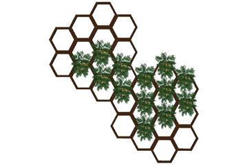 蜂巢植物墙绿植墙SU模型