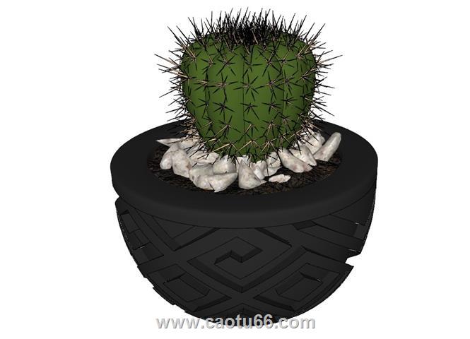仙人球仙人掌花盆SU模型