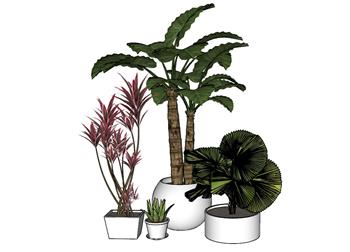 花盆植物SU模型