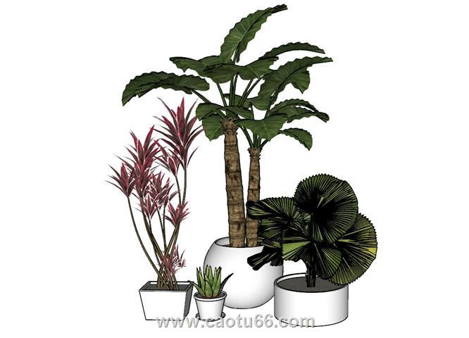 花盆植物SU模型