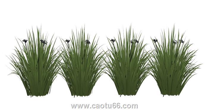 小草花草植物SU模型
