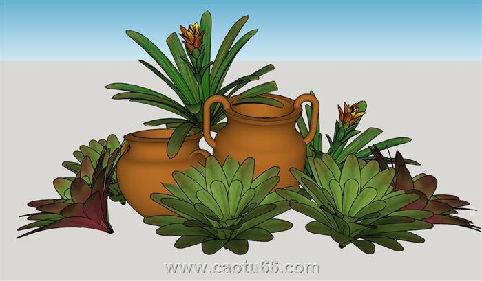 泥罐植物SU模型